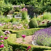 Scotland's Gardens Scheme - Glorious Gardens
