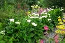 Scotland's Garden Scheme - Blooming Marvellous